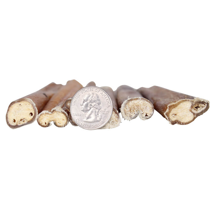 Premium All Natural Dog Pizzle Chews, 6" - 031CW6-PZ12 - 12pk - 8