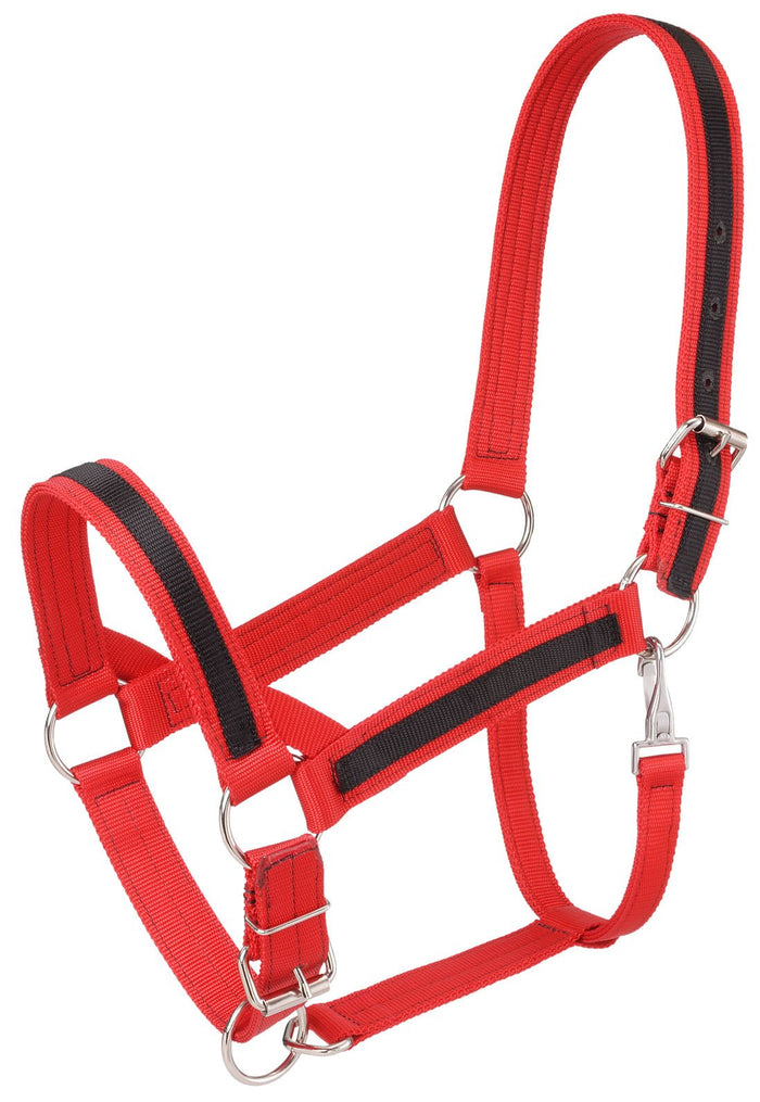 Premium Nylon Draft Halter With Overlay - JTIZG - Royal Blue - 3
