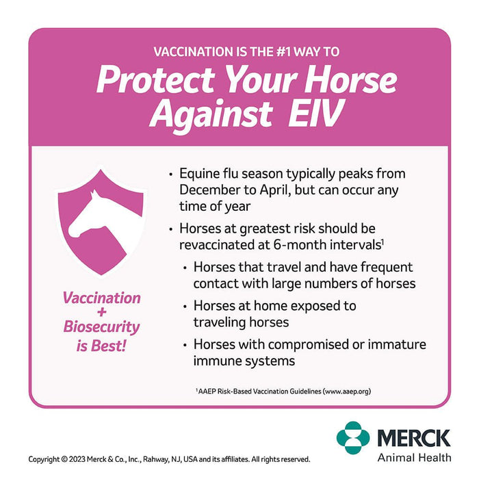 Prestige 4 EWT + Flu Horse Vaccine - I61C - 1 Dose - 3