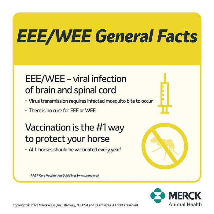 Prestige 4 EWT + Flu Horse Vaccine - I61D - 10 Dose - 8