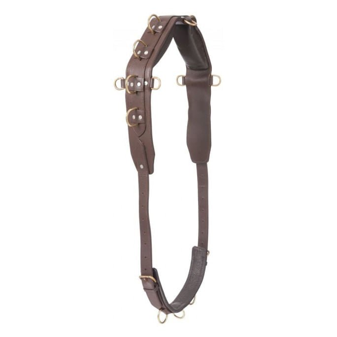 Professional Heavy Leather Surcingle - JTI2T - 2