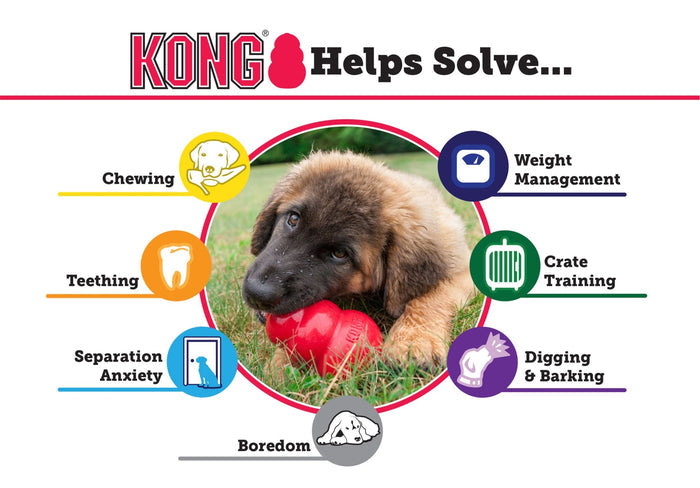 Puppy KONG - K93G - Puppy Kong, X - Small (2¼") - 2