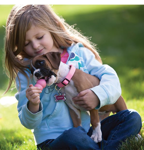 Puppy KONG - K93G - Puppy Kong, X - Small (2¼") - 5