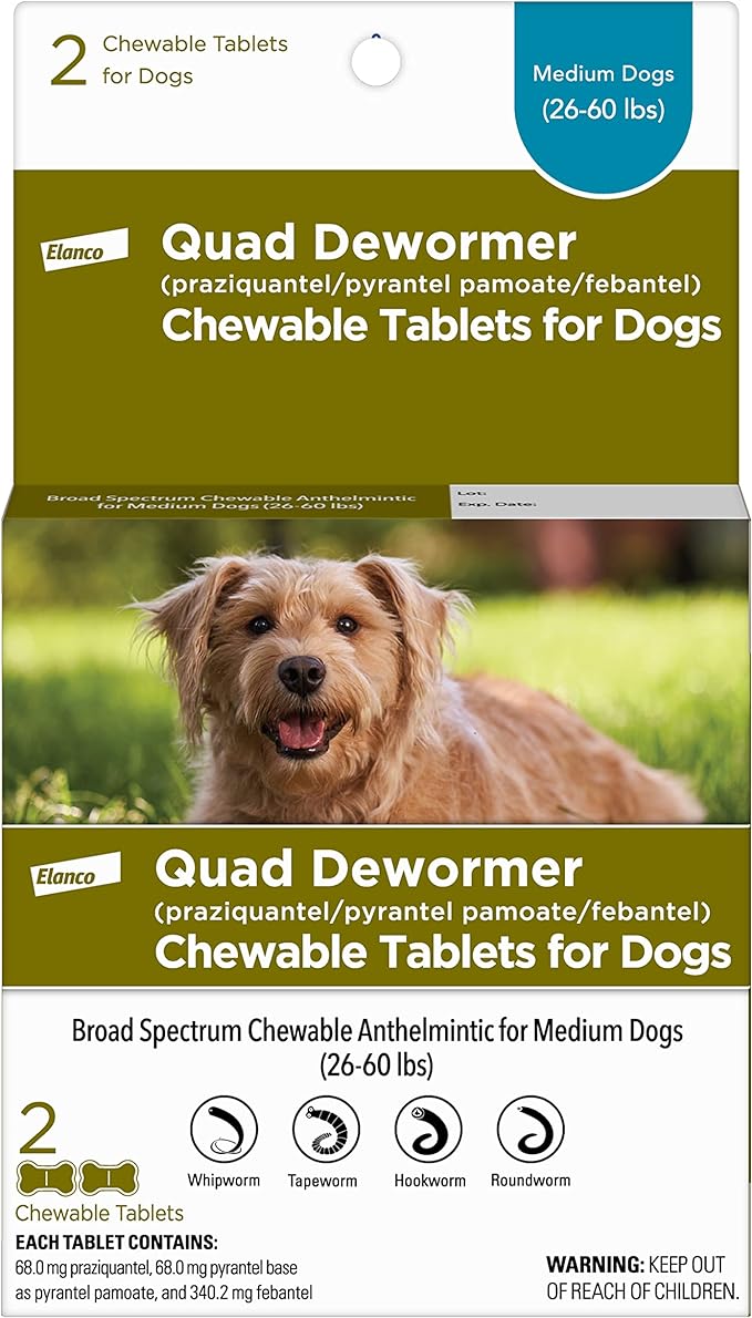 Quad Dewormer Chewable Tablets for Dogs - E8A0 - 2 pack - Medium - 1