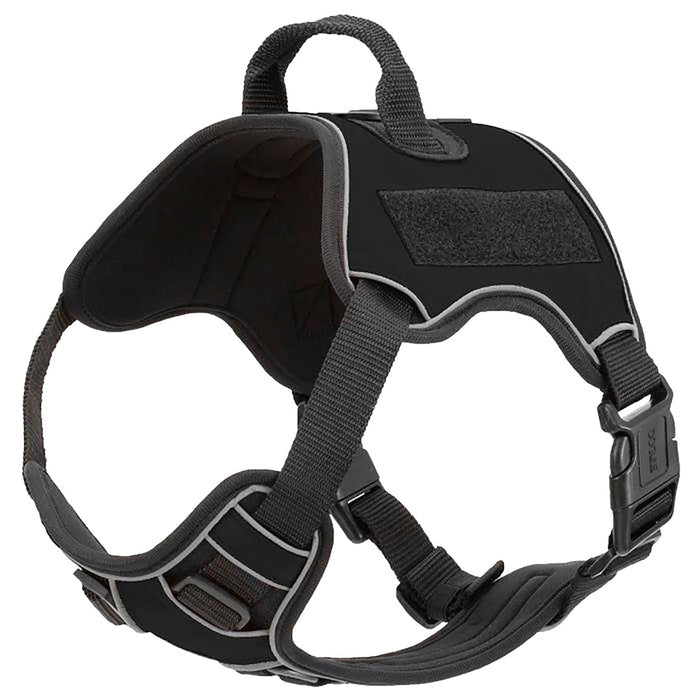 Quest Multi - Purpose Harness, XSmall - DLCN - Black - 1
