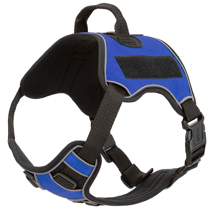 Quest Multi - Purpose Harness, XSmall - DLCP - Blue - 4