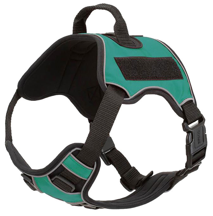 Quest Multi - Purpose Harness, XSmall - DLCP - Blue - 5