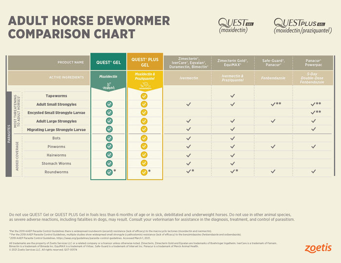 Quest Plus Gel Horse Dewormer - F7Q3 - Single Pack - 6