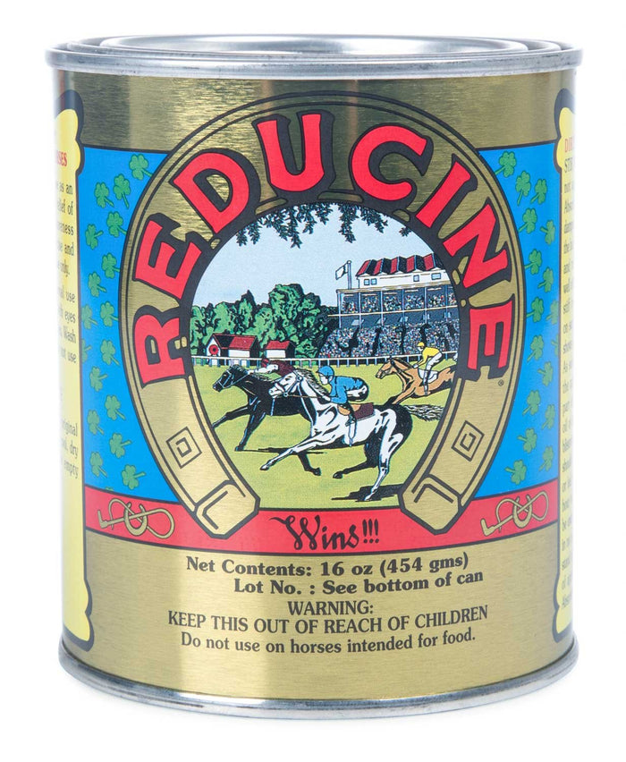 Reducine Absorbent for Horses, 16 oz - FAR5 - 1