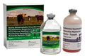 RespiVax 5 + PH - M Cattle Vaccine - A28N - 50 Dose - 1