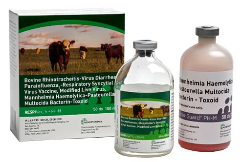 RespiVax 5 + PH - M Cattle Vaccine - A28N - 50 Dose - 2
