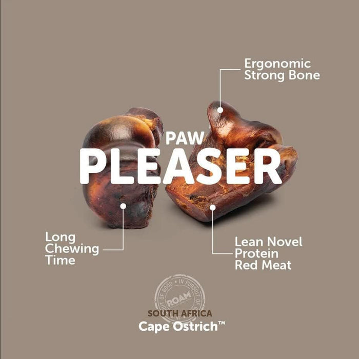 Roam Dog Treats Le Petite Gnaw - kle Ostrich Knuckle Small Dog Chew, 2pk - RO21A - See product for details - Ostrich - 2pk - 3