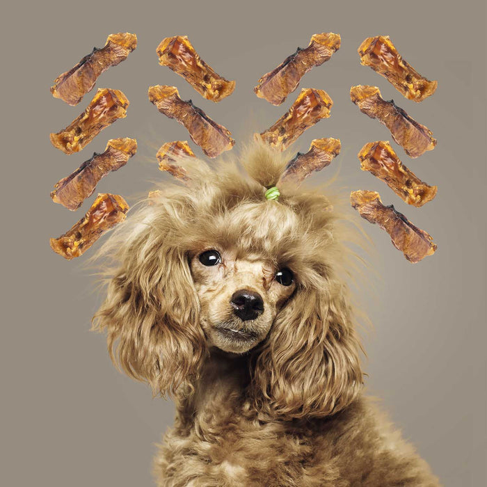 Roam Dog Treats Ossy Chops, 2pk - RO21B - See product for details - Ostrich - 2pk - 5