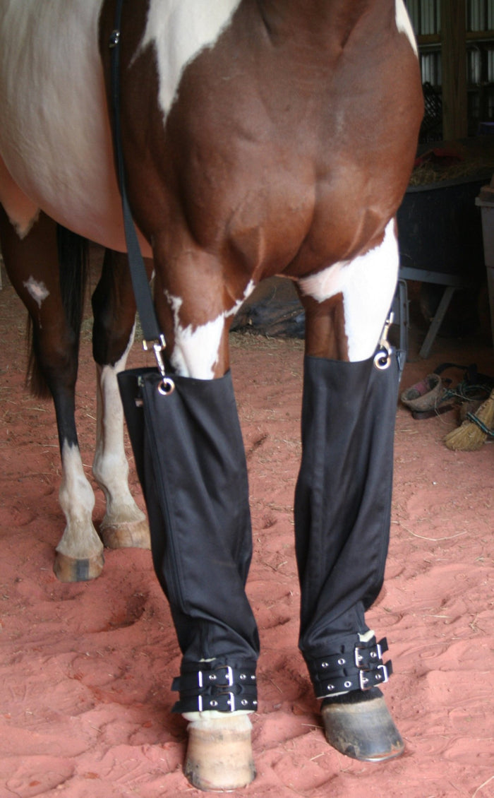 Roma Full Ice Boots for Horses, Pair - 0VRAP - 1