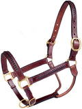 Royal King Braided Leather Halter - JTIA2A - 1