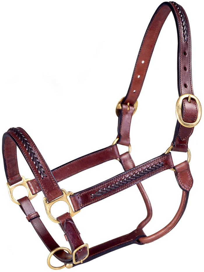 Royal King Braided Leather Halter - JTIA2A - 2