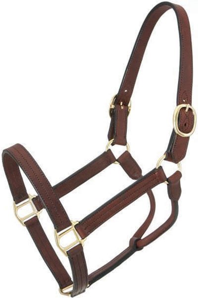 Royal King Preakness Leather Track Horse Halter - JTIKA - Preakness Track Halter, Large Horse - 2