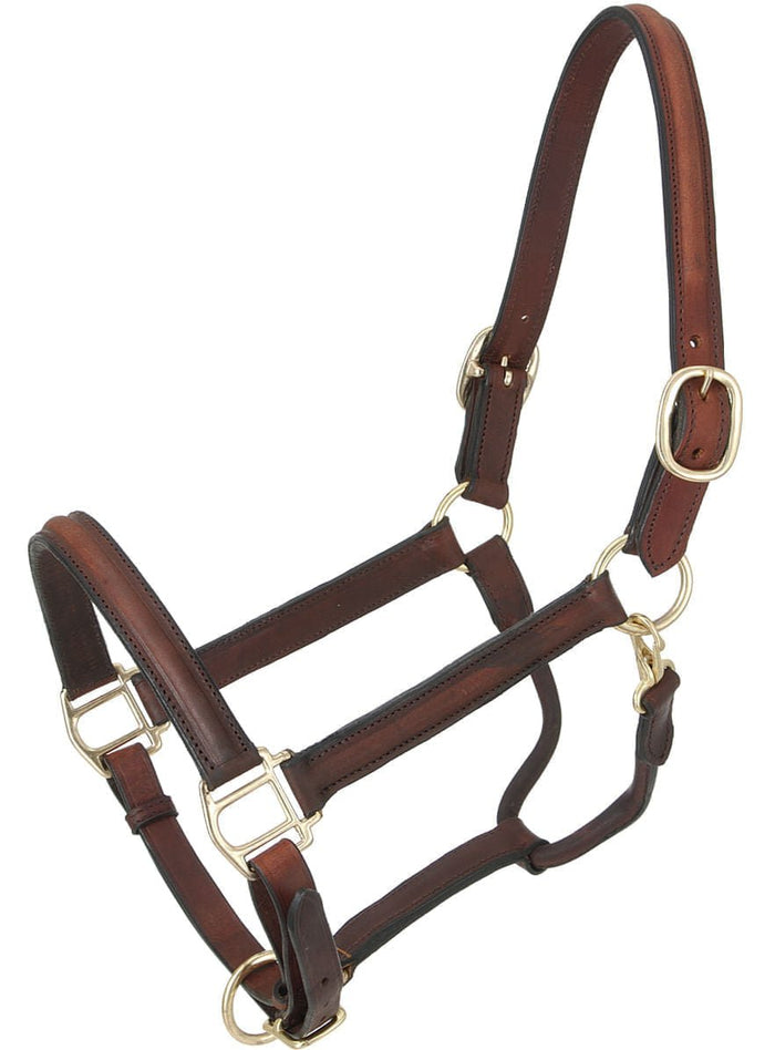 Royal King Raised Leather Halter - JTIA45 - 1