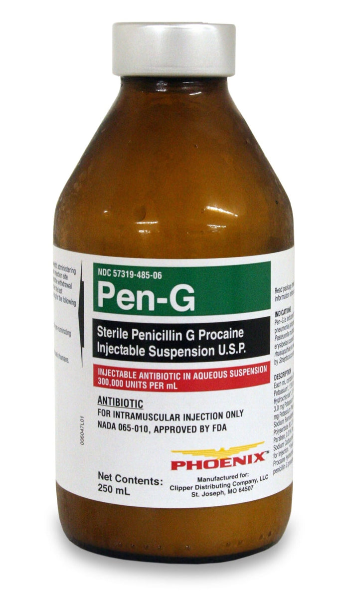 Rx Norocillin (Penicillin G Procaine) Injectable Solution for Cattle, Sheep, Swine, & Horses - 012BIM-305 - 250ml - 3