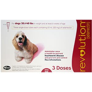 Rx Revolution (selamectin) Canine Once - a - month Flea Topical for Dogs - 012PFZ08-8735B - 20.1 - 40 lbs - 3 month - 5
