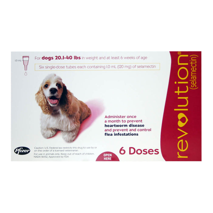 Rx Revolution (selamectin) Canine Once - a - month Flea Topical for Dogs - 012PFZ08-8515B - 20.1 - 40 lbs - 6 months - 6