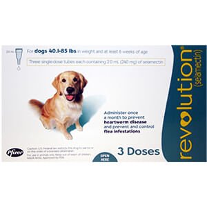 Rx Revolution (selamectin) Canine Once - a - month Flea Topical for Dogs - 012PFZ08-8736B - 40.1 - 85 lbs - 3 month - 8