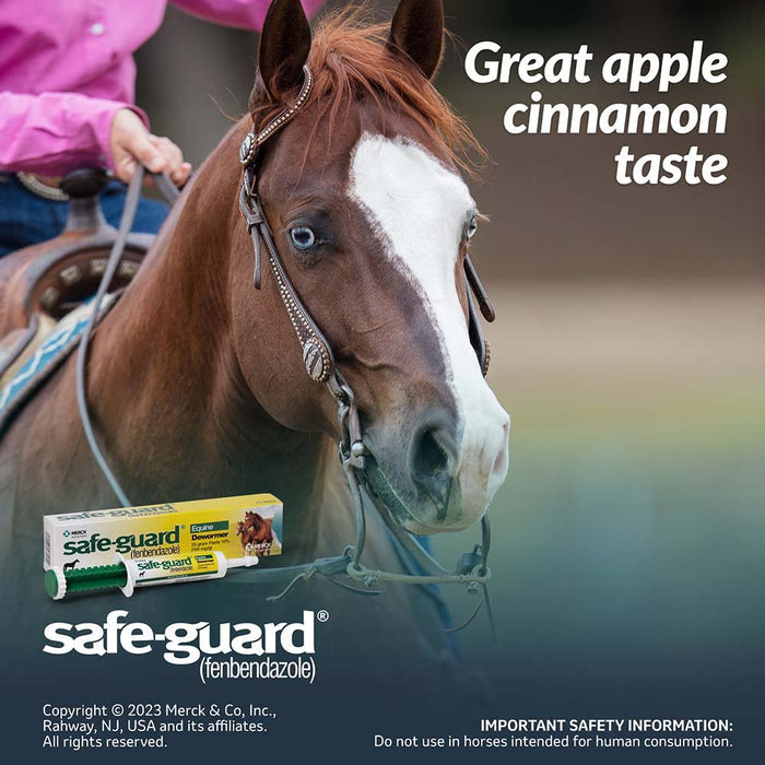 Safe - Guard 10% Fenbendazole Horse Dewormer Paste, 25g – Broad - Spectrum Parasite Wormer - I6S2 - 25 g (0.88 oz) - Single Pack - 8