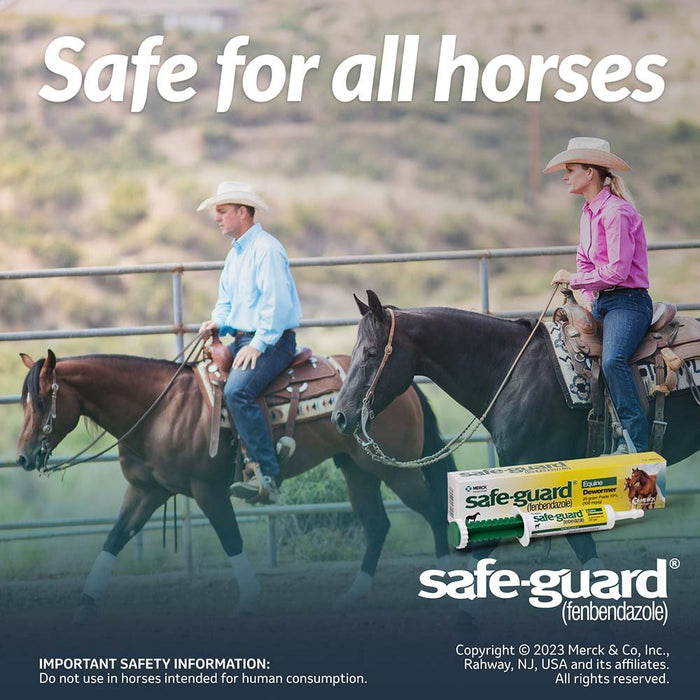 Safe - Guard 10% Fenbendazole Horse Dewormer Paste, 25g – Broad - Spectrum Parasite Wormer - I6S2 - 25 g (0.88 oz) - Single Pack - 9