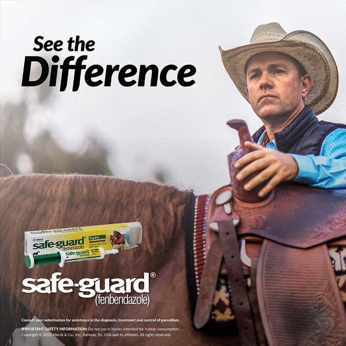 Safe - Guard 10% Fenbendazole Horse Dewormer Paste, 25g – Broad - Spectrum Parasite Wormer - I6S2 - 25 g (0.88 oz) - Single Pack - 10