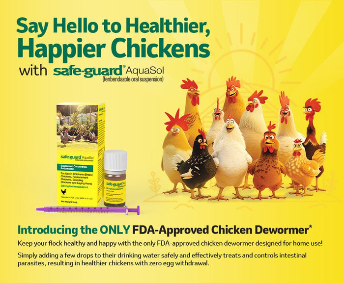 Safe - Guard AquaSol Dewormer for Backyard Chickens, 3ml - I6W4 - 3mL - 1 ct - 3