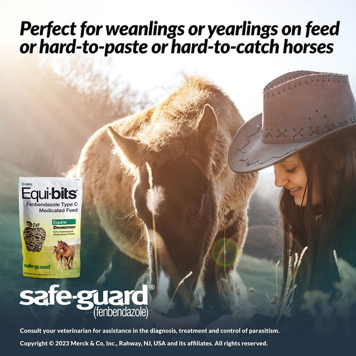 Safe - Guard Equi - bits Fenbendazole Medicated Feed Horse Dewormer, 1.25 lb - I6SJ - 2