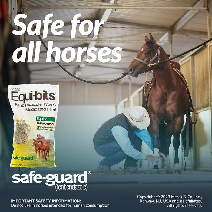 Safe - Guard Equi - bits Fenbendazole Medicated Feed Horse Dewormer, 1.25 lb - I6SJ - 6