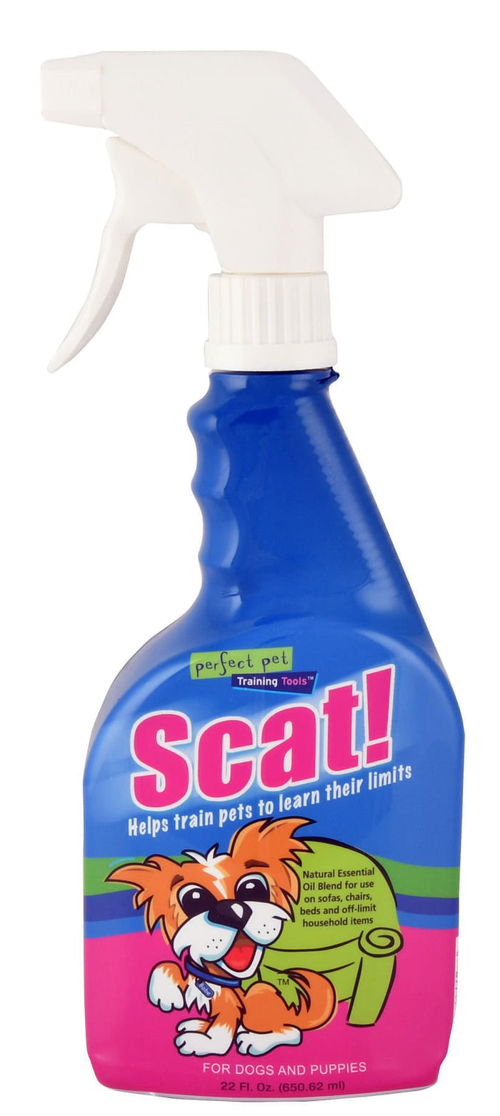 Scat! - DAV1X - 1