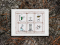Illustration of a window looking into 6 trail scenes - ramen cooking on a camping stove, gear hanging to dry, an outhouse, a trail maker, water bottle, and pour-over coffee - on a wood surface.