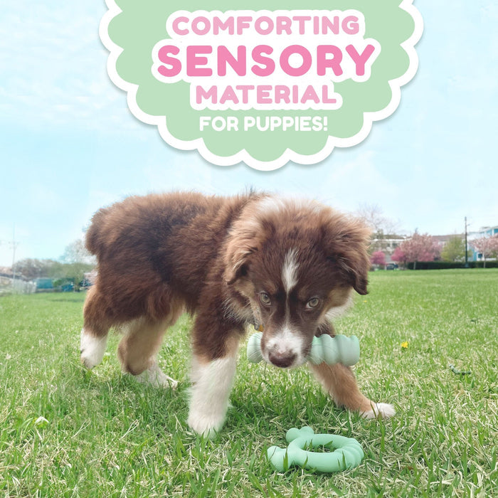 Sensory Material Puppy Teething Ring, Chicken, Small/Regular, Up to 25 Ibs - N9118 - Chicken - Small/Regular - 7