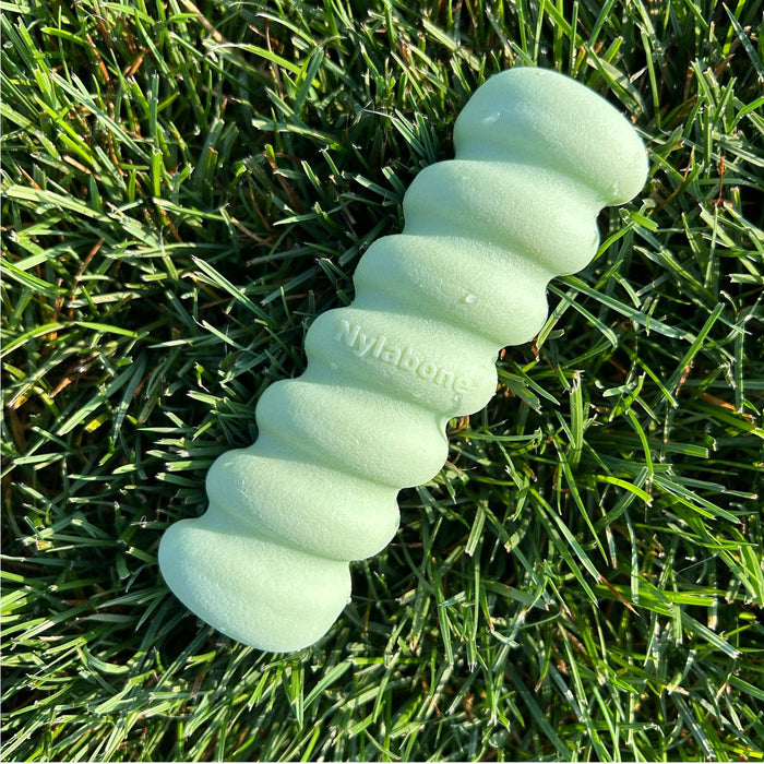 Sensory Material Puppy Teething Toy, Peanut Butter, Small/Regular, Up to 25 Ibs. - N9119 - Peanut Butter - Small/Regular - 3