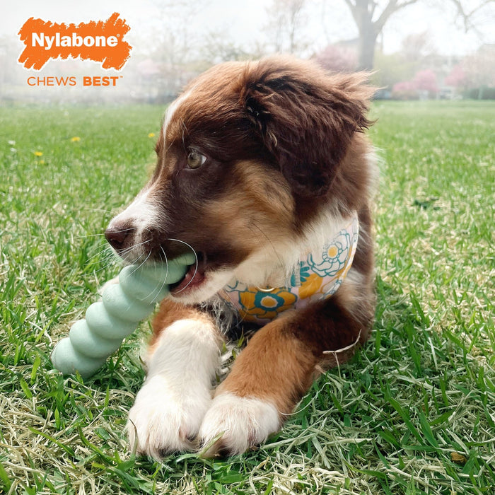 Sensory Material Puppy Teething Toy, Peanut Butter, Small/Regular, Up to 25 Ibs. - N9119 - Peanut Butter - Small/Regular - 8