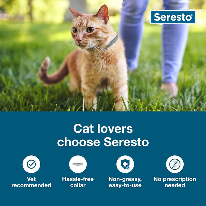 Seresto Flea & Tick Collar for Cats - E8AF - Single Pack - 3