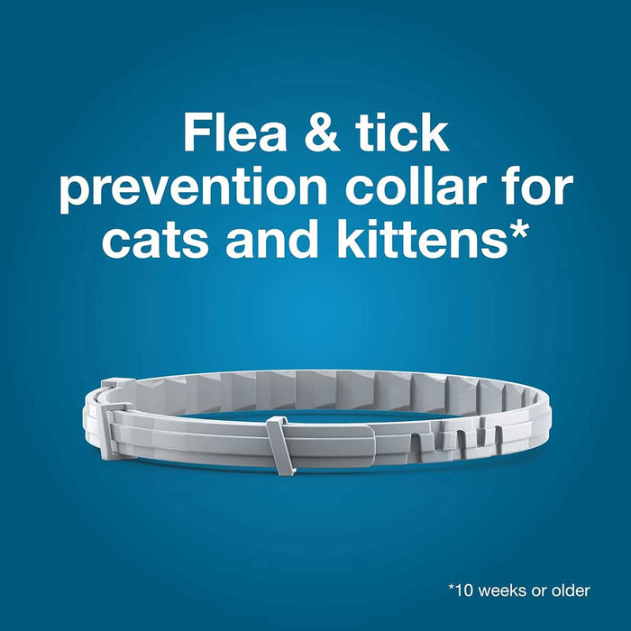 Seresto Flea & Tick Collar for Cats - E8AF - Single Pack - 4