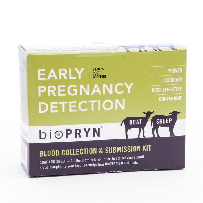 Sheep & Goat Early Pregnancy Detection - BILAB - 1