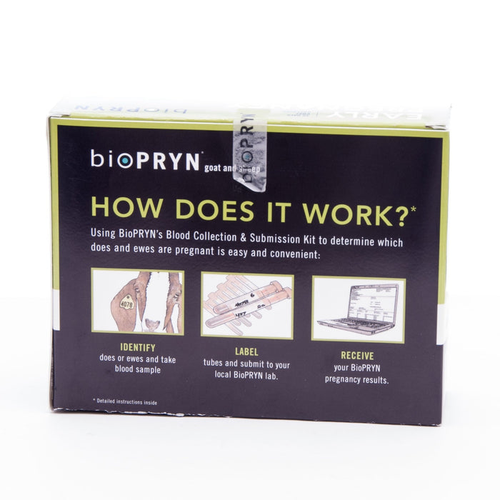 Sheep & Goat Early Pregnancy Detection - BILAB - 2