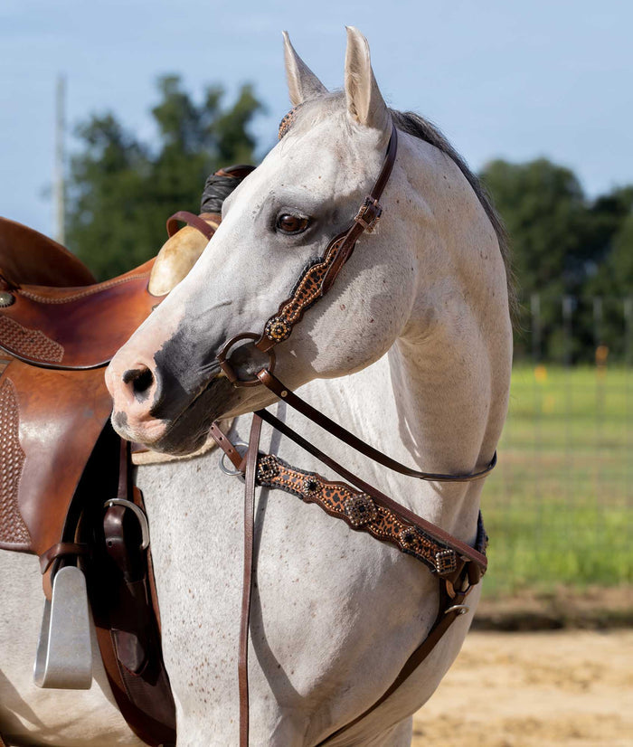 Showman Rhinestone Concho & Cheetah Tack Set - SSTP7 - 3
