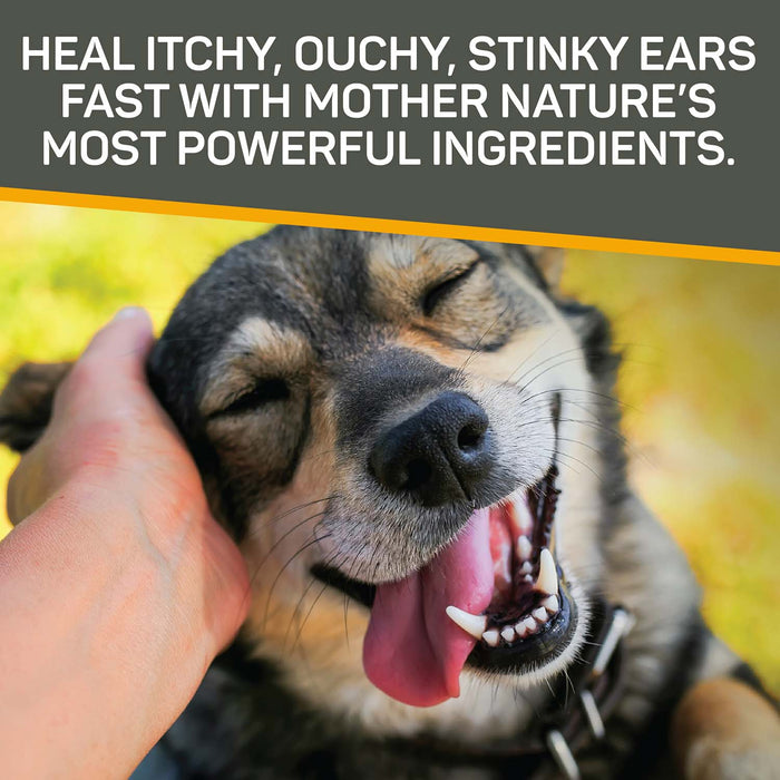 Silver Honey Rapid Ear Care Vet Strength Ear Treatment Rinse + Concentrated Doses - Y1VB - 7