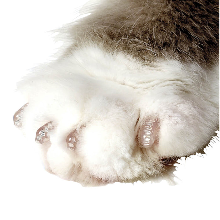 Soft Claws Nail Caps for Cats, 40 ct - 008SH-73201 - Clear - Small - 3