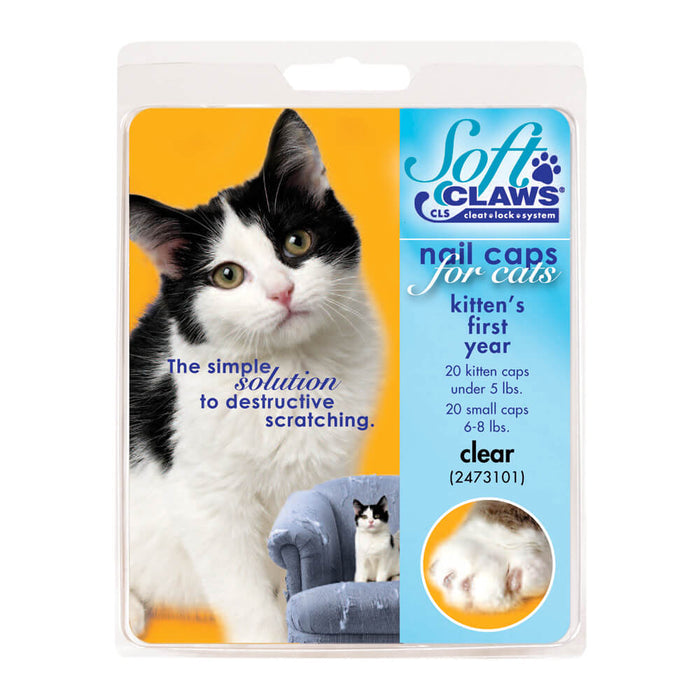 Kitten / Clear / 40 Pack