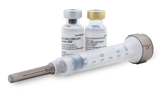 Solo - Jec 10 (10 - Way Dog Vaccine), Single Dose - A91A - 1 Dose - 4