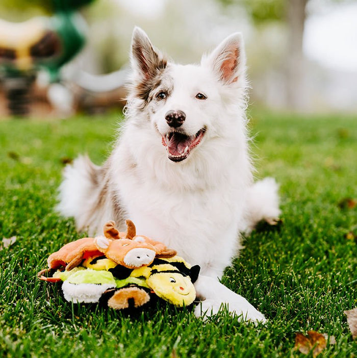 Squeakie Crawler Dog Toy - ZPPKU - Bubba the Bear - 4