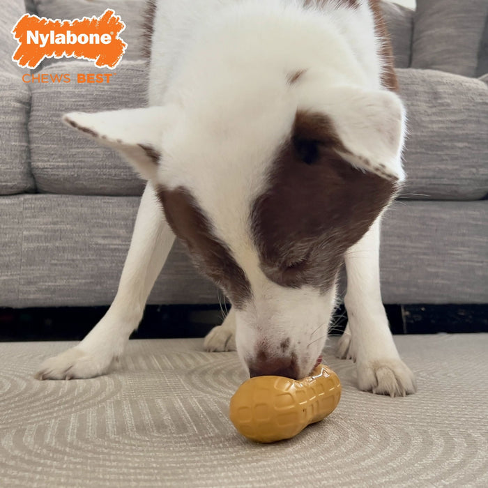 Strong Chew Fillable Peanut Dog Toy, Peanut Butter, Medium/Wolf, Up to 35 lbs. - N9113 - Peanut Butter - Medium/Wolf - 6
