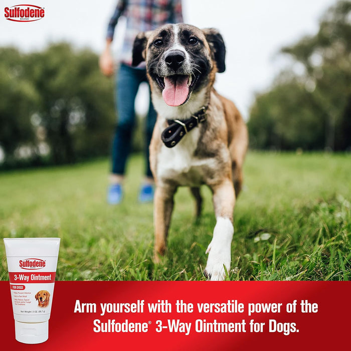 Sulfodene 3 - Way Ointment for Dogs, 2 oz - FAA0 - 1 - 2