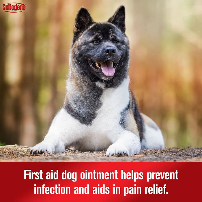 Sulfodene 3 - Way Ointment for Dogs, 2 oz - FAA0 - 1 - 3